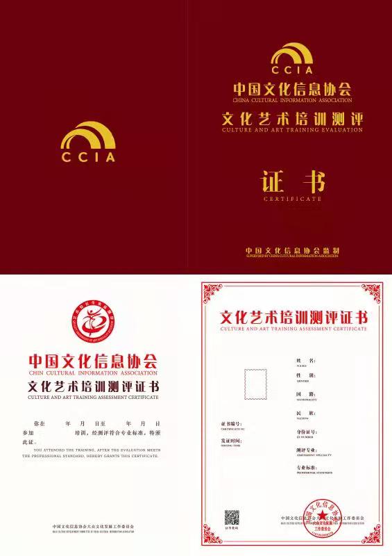 文化艺术培训测评